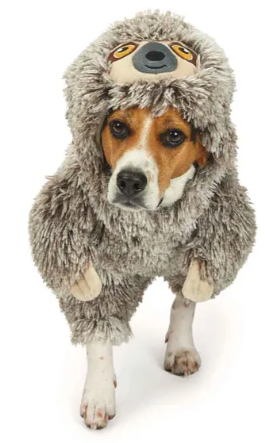 Slo Sloth Front Face Costume Extra Medium by Pet Food Warehouse
