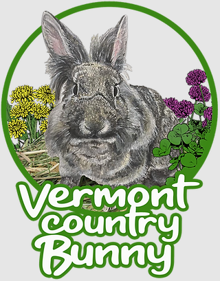 Vermont Country Bunny Haytopper 2 by Pet Food Warehouse