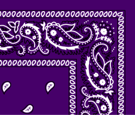 Bandana Paisley Dark Purple Grape by Pet Food Warehouse