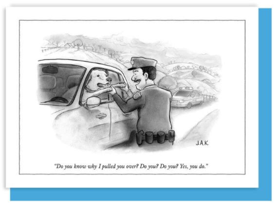 New Yorker Card Pulled You Over by Pet Food Warehouse