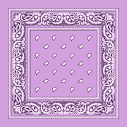 Bandana Paisley Lilac by Pet Food Warehouse