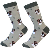 Socks Boxer by Pet Food Warehouse