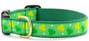 Upcountry Dog Collar Medium Shamrock 12-18 by Pet Food Warehouse