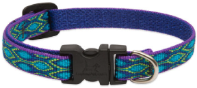 Lupine Collar Rain Song 1/2" 6-9 by Pet Food Warehouse