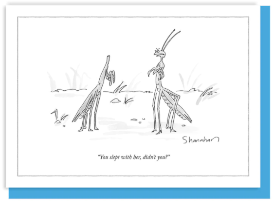 New Yorker Card Mantis / You Sleep With Her by Pet Food Warehouse