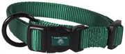 Hamilton Adjustable Dog Collar Green 3/8" 7-12" by Pet Food Warehouse