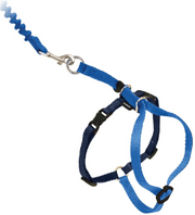 Premier Medium Come With Me Kitty Blue Harness by Pet Food Warehouse