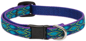 Lupine Safety Cat Collar Rain Song 1/2" 8-12 by Pet Food Warehouse