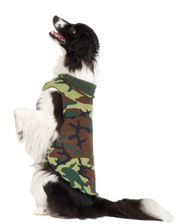 Gold Paw Double Fleece Camo & Hunter Size 16 by Pet Food Warehouse