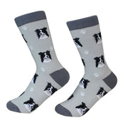 Socks Border Collie by Pet Food Warehouse