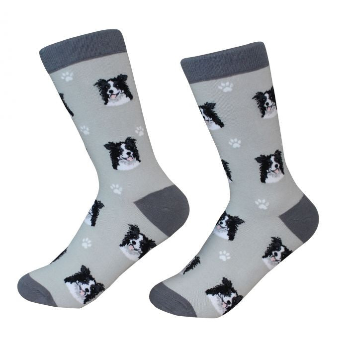 Socks Border Collie by Pet Food Warehouse