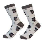 Socks Rottweiler by Pet Food Warehouse