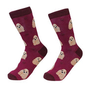 Socks Cocker Spaniel by Pet Food Warehouse
