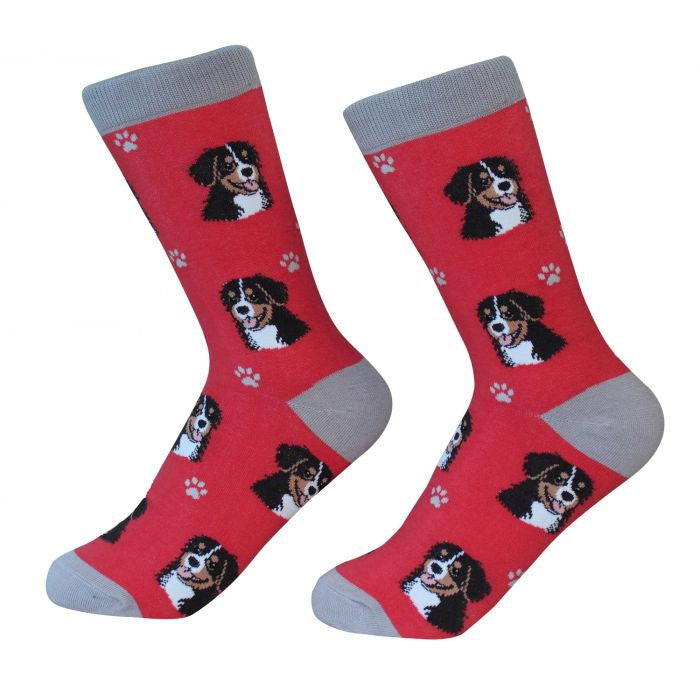 Socks Bernese Mountain Dog by Pet Food Warehouse