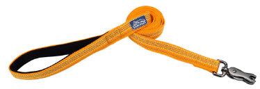 Coastal K9 Bright Reflective Lead Desert 1 6' by Pet Food Warehouse