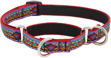 Lupine Combo Collar El Paso 1" 14-22 by Pet Food Warehouse