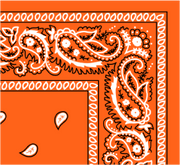 Bandana Paisley Orange by Pet Food Warehouse