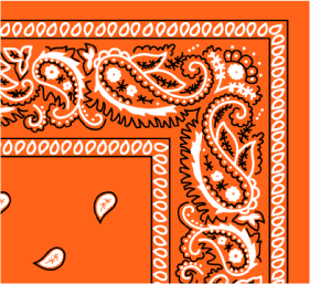 Bandana Paisley Orange by Pet Food Warehouse