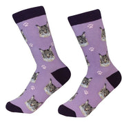 socks Cat Maine Coon by Pet Food Warehouse