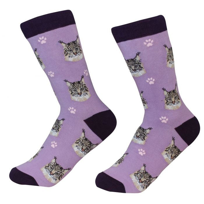 socks Cat Maine Coon by Pet Food Warehouse