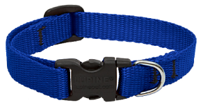 Lupine Collar Blue Collar 1/2" 8-12 by Pet Food Warehouse