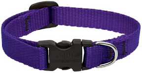 Lupine Collar Purple 1/2" 8-12 by Pet Food Warehouse