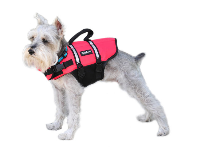 Zippy Paws Life Jacket Medium by Pet Food Warehouse