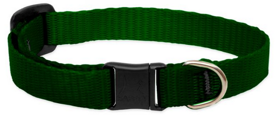 Lupine Safety Cat Collar Green 1/2" 8-12 by Pet Food Warehouse