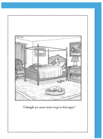 New Yorker Card Go To Bed Angry by Pet Food Warehouse