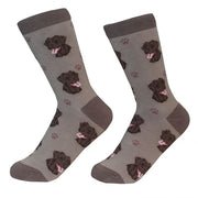 Socks Labrador Chocolate by Pet Food Warehouse