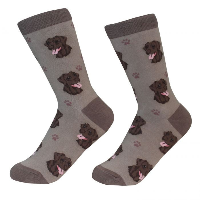 Socks Labrador Chocolate by Pet Food Warehouse