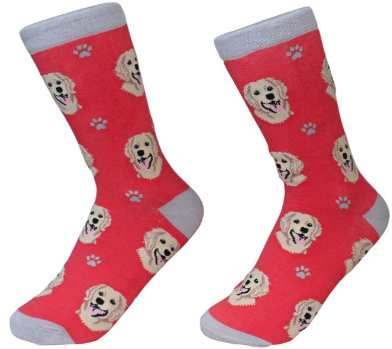 Socks Golden Retriever by Pet Food Warehouse