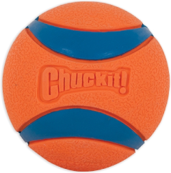 ChuckIt Large Ultraball Dog Toy by Pet Food Warehouse