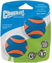 ChuckIt Medium Squeaker Ball Dog Toy by Pet Food Warehouse