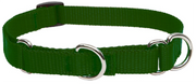 Lupine Combo Collar Green 3/4" 14-20 by Pet Food Warehouse