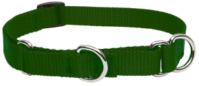 Lupine Combo Collar Green 3/4" 14-20 by Pet Food Warehouse