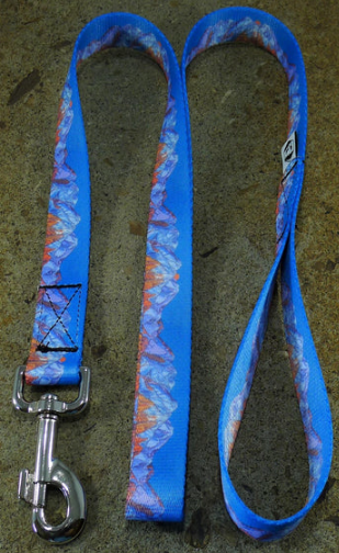 Mtn Straps Lead Wasatch Front 6' by Pet Food Warehouse