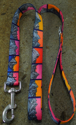 Mtn Straps Lead Idaho 9 6' by Pet Food Warehouse