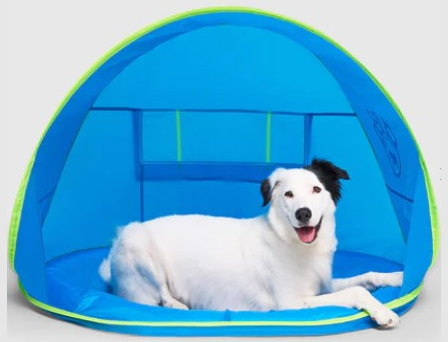 Chill Seeker Cooling Station with Splash Pad by Pet Food Warehouse