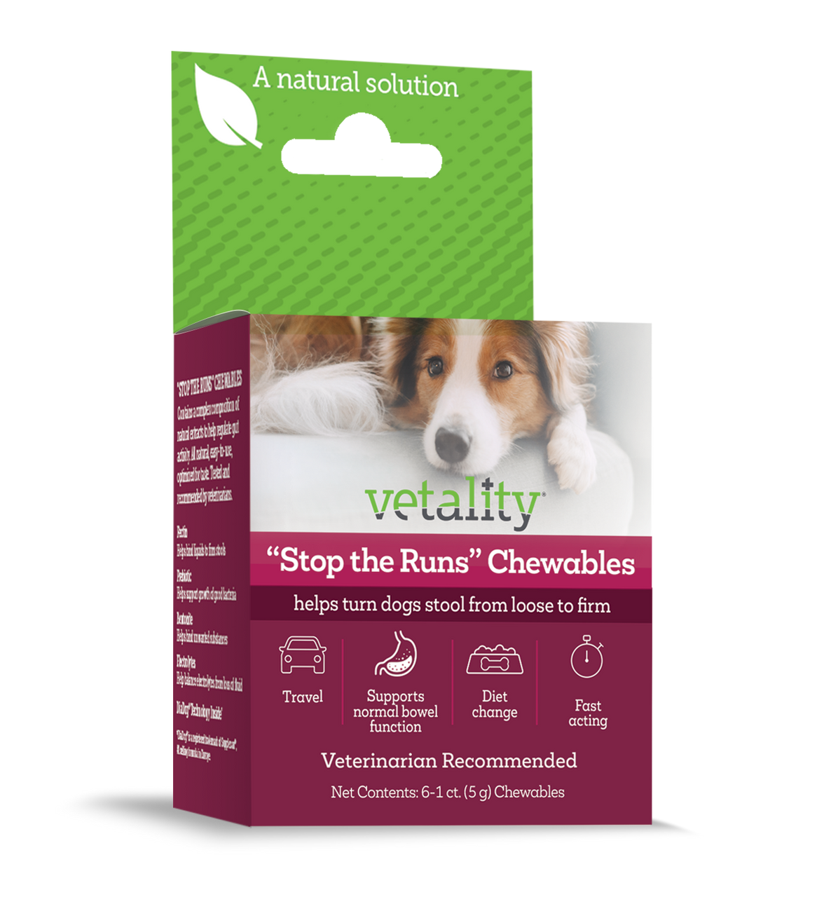 Vetality Stop the Runs Chewables for Dogs 6 ct by Pet Food Warehouse