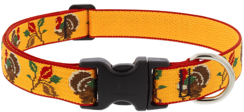 Lupine Collar Turkey Trot Dog Collar 1 12-20 by Pet Food Warehouse