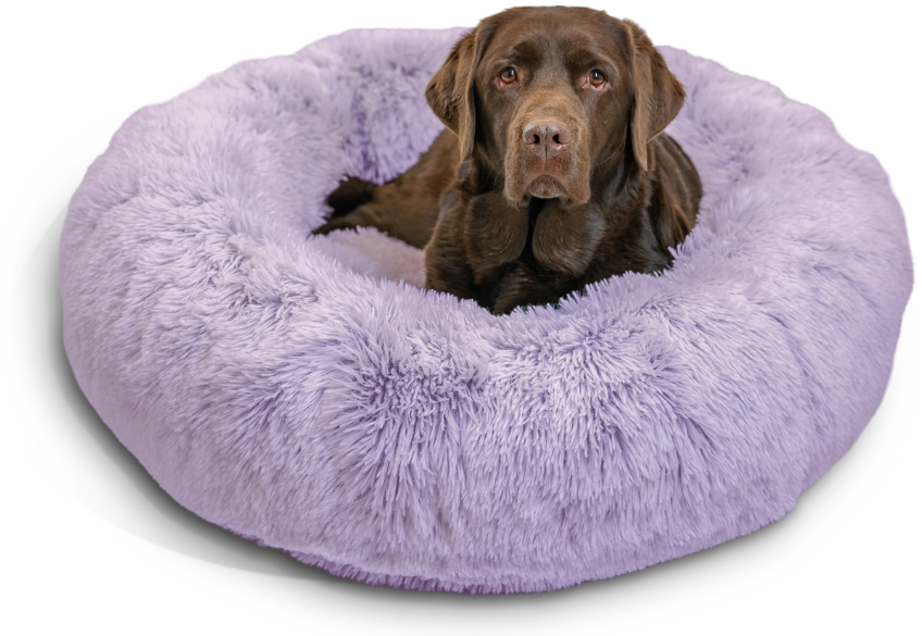 Outward Hound Shag Donut Bed Dog 36x36 Lavender by Pet Food Warehouse