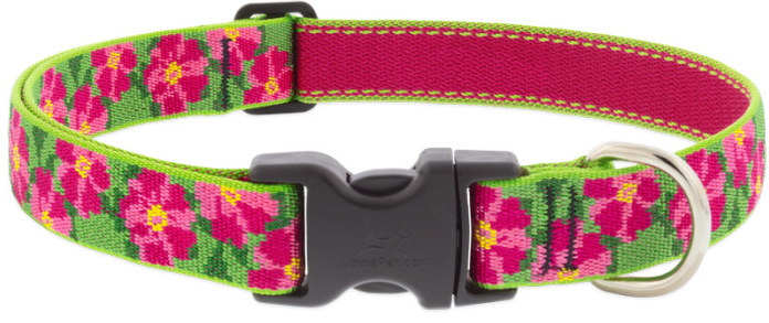Lupine Collar Petunias 1/2" 6-9 by Pet Food Warehouse