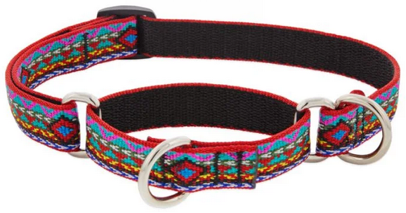 Lupine Combo Collar El Paso 3/4" 14-20 by Pet Food Warehouse