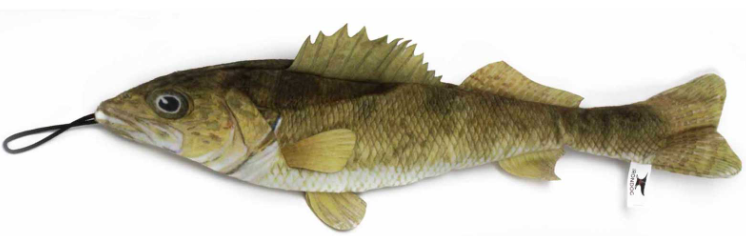 Steel Dog Denim Fish Walleye by Pet Food Warehouse