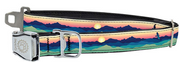 Cycle Dog FattyWidth 1.5" Collar Eagle Sunrise Large by Pet Food Warehouse