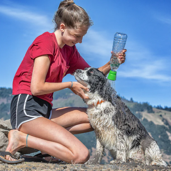 Kurgo Mud Dog Shower Grass Green Nozzle by Pet Food Warehouse