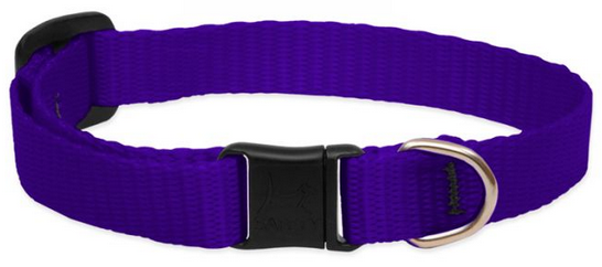 Lupine Safety Cat Collar Purple 1/2" 8-12 by Pet Food Warehouse