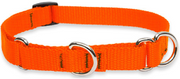 Lupine Combo Collar Orange 3/4" 14-20 by Pet Food Warehouse