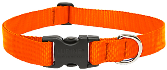 Lupine Collar Orange 1" 16-28 by Pet Food Warehouse